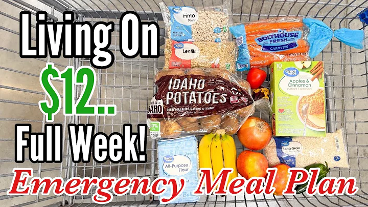 Eating on $12 a Week | Easy, Healthy & Cheap Recipes for an Emergency Budget