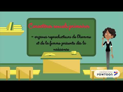 Vidéo: Analyse De La Classe Latente Des Marqueurs De La Santé Sexuelle Chez Les Hommes Et Les Femmes Participant à Une Enquête Par Sondage Britannique