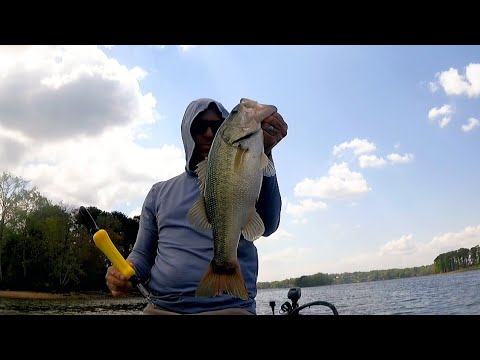 Catching bass on big swimbaits only at Logan Martin lake April 2026