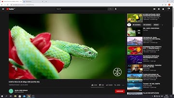 How to Fix Scroll Lag in Google Chrome (Nvidia GPU, Intel HD Graphics)