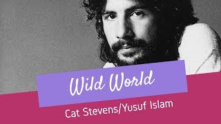Wild World - Cat Stevens/Yusuf Islam - Lyrics