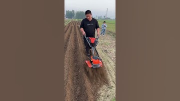 Trencher Micro-tillage machine Save time, effort, and labor. A good helper for farmers.