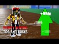 *BEST BOUNTY HUNTING TIPS AND TRICKS* - Get 30M Bounty Easy Blox Fruits