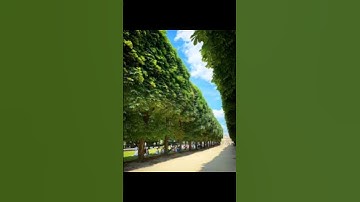 Perfectly Aligned Wonders: Discover the Beauty of Things in Perfect Harmony!