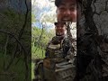 The Finale of Spring Sojourn 2024 (Video Out Now) #utah #merriams #finale #blessed #birds #feathers
