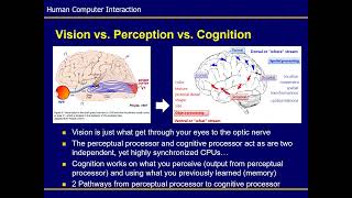 Lecture 3: Perceptual Psychology and User Interface Design