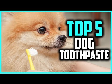 Video: Entsymaattinen hammastahna koirille
