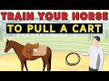 Training Your Horse to Pull a Cart