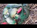 САЗАН КЛЮЁТ КАК ВОБЛА - РЫБАЛКА В ДЕЛЬТЕ ВОЛГИ С НОЧЁВКОЙ