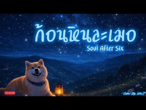 ก้อนหินละเมอ - Soul After Six | Cover By. Wis_T