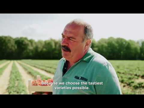 Exki Salade De Navet Aux Lentilles Corail Recette Du Mois De