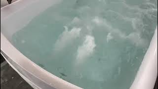 How to use the pneumatic button and air diverter on an Ariel Tub