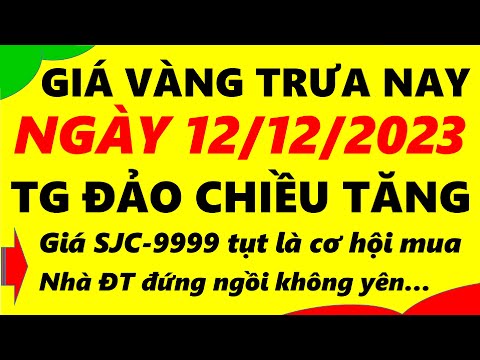 Giá vàng hôm nay ngày 12/12/2023 - giá vàng 9999, vàng sjc, vàng nhẫn 9999,...