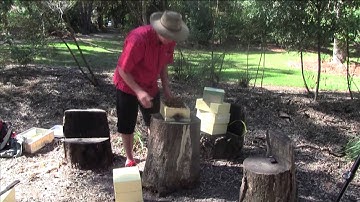 Part 2: Internal Architecture of the Nest