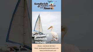 Catamaran &amp; Sandwich Harbour #namibiatourguide #explorenamibia #namibiatravel #travel #visitnamibia