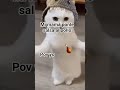 el pollo