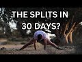 The splits in 30 days?