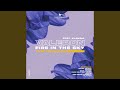 Fire In The Sky Feat Klavdia Playmen Remix 
