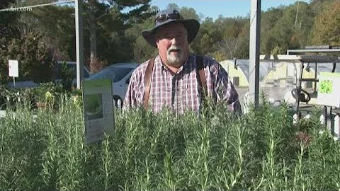 Ask Neal: Planting Rosemary