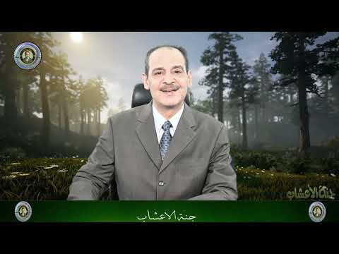 الشومر الشمار الشمر مع خبير الاعشاب حسن خليفه رحمه الله تعالى وغفر له