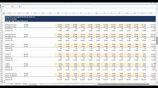 Personal Finance Budget & Tracking with Net Worth Forecast - Pro Forma Models