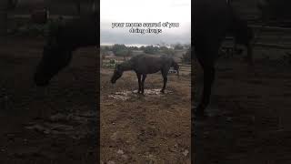 My Mom Is Scared Of Me Dying