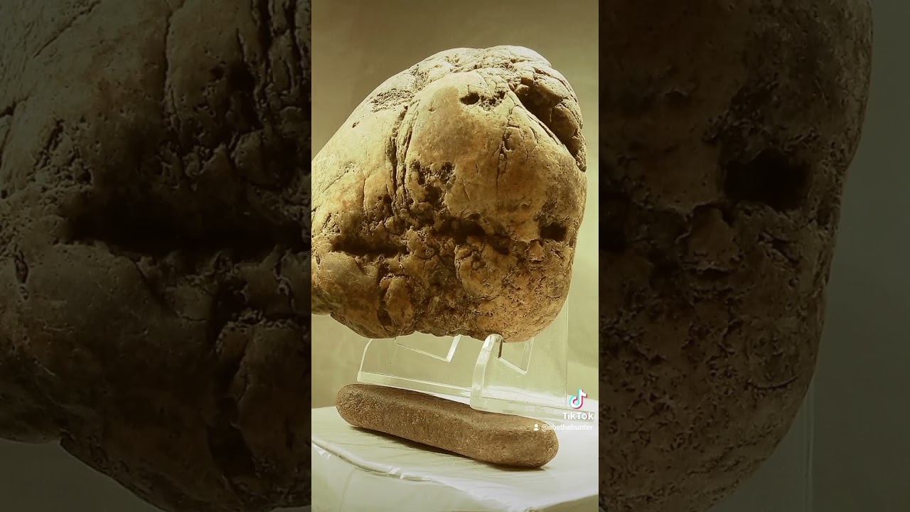 Lost Tribes of Israel Ancient Artifact Black Man  riding a camel 🐫