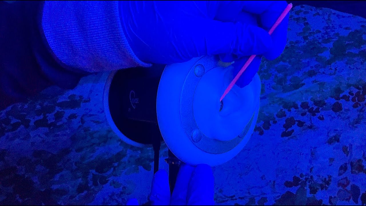 ASMR | Gentle Ear Cleaning Inside & Out - No Talking, Ear To Ear, Gloves, Visual Triggers, Palpation