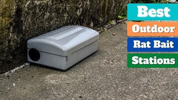 ✅ Best Outdoor Rat Bait Stations | Top 5 Outdoor Rat Bait Stations 2023