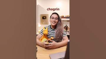 What does CHAGRIN mean? 🤔 #learnwithlyqa #englishlanguage #wordoftheday #englishlearning