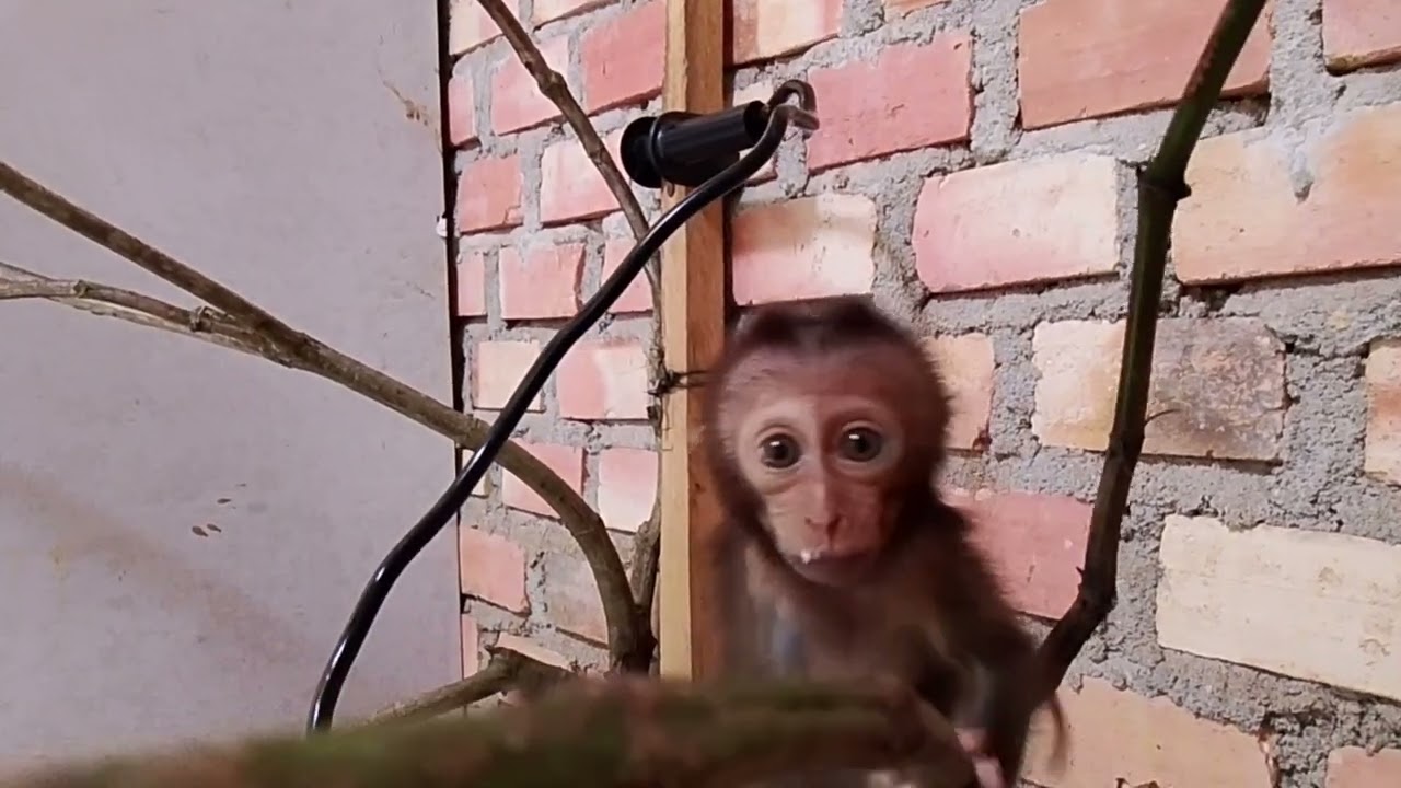 Рад видеть, что Барон может быть таким..🥰🥰🥰👍