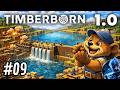#09 Enfin le grand bassin ! [Timberborn]