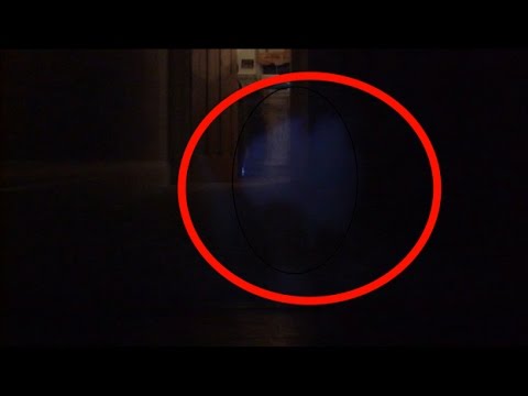 EXTRAORDINARY Ghost Cat