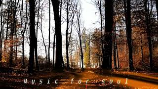 Gabriel Podaru - Music For Soul Instrumental