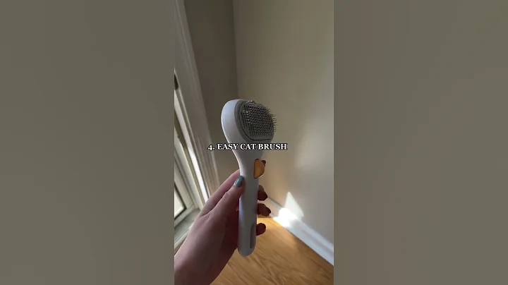 Top 6 Amazon Pet Products for Cats