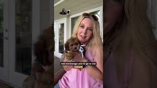 Love cavachons?