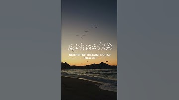 #اكسبلور #القرآن_الكريم #المصحف #تلاوة_قرآن #راحة_نفسية #الرحمن #اكسبلور_explore #