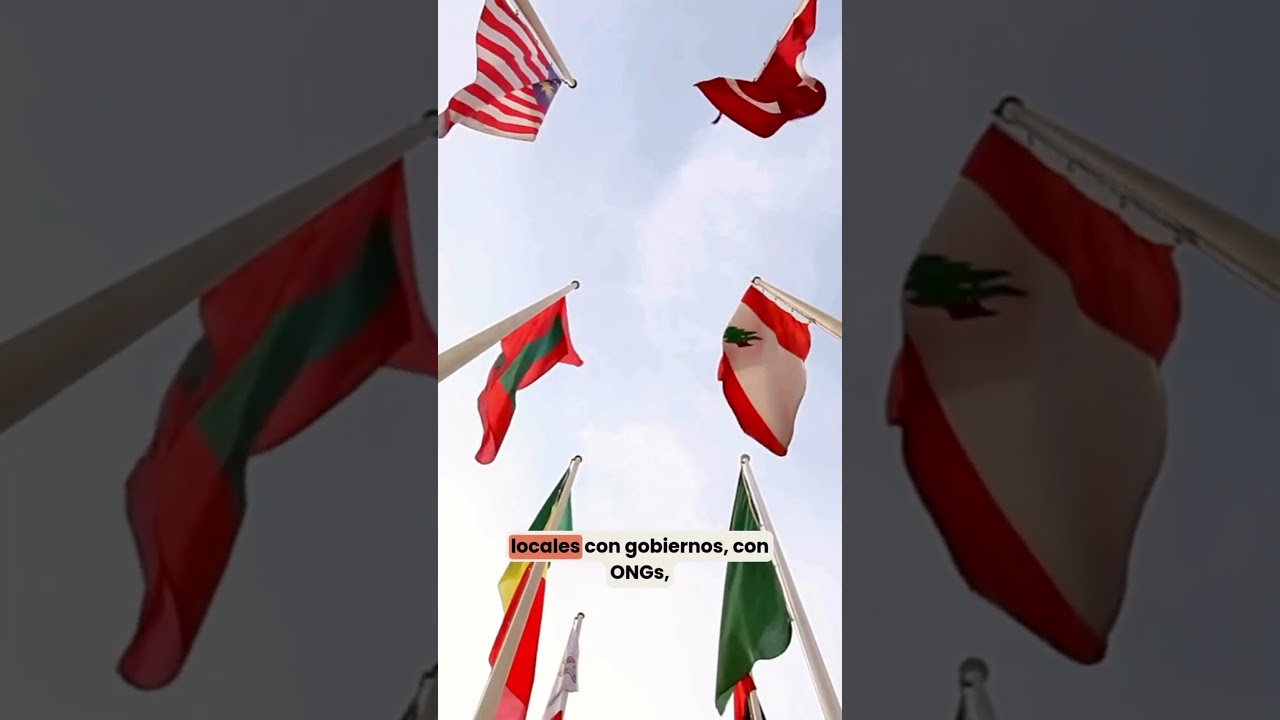 Cooperaci&oacute;n internacional: herramientas, desaf&iacute;os y oportunidades