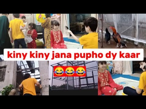 Bird's Collections in Pophu's House😱 - YouTube