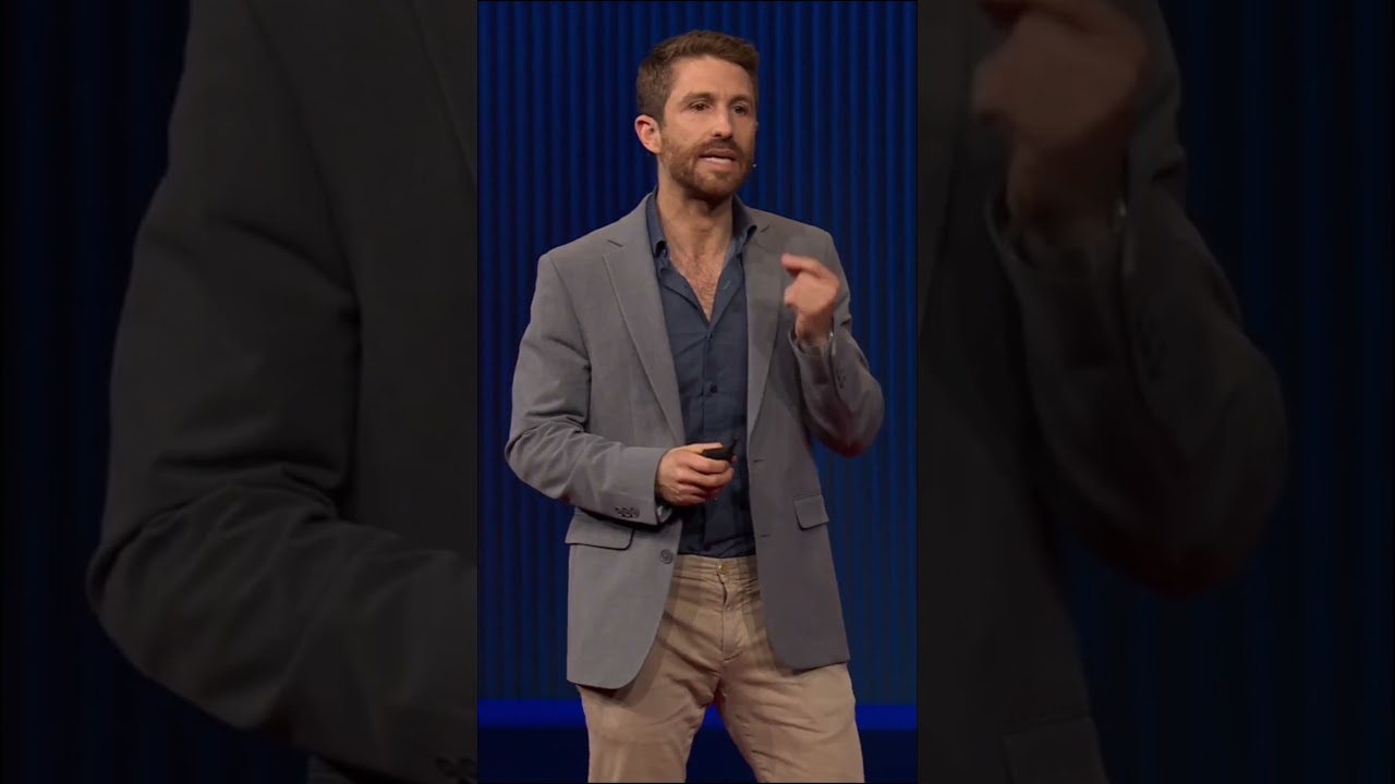 Путь ИИ, по которому мы идём, безумен, но не неизбежен. 