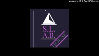 S.L.A.B. Jones - Decorated