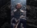 What a 21st century Nuclear War Could Look Like?