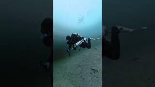 Wasserwelt #shorts #short #shortvideo