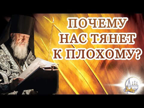 Почему нас тянет к плохому?
