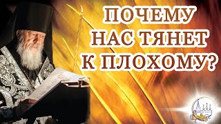 видео: Почему нас тянет к плохому? картинка: Почему нас тянет к плохому?