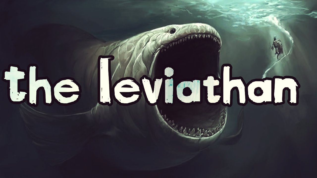 TERRIFYING LEVIATHAN  SCP-3000 Lore 