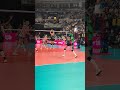 📺 Watch the CEV Champions League Volleyball LIVE on EuroVolley.TV #cev #volleyball #clvolley