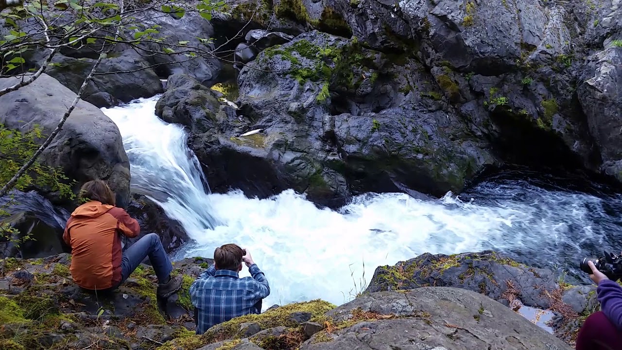Olympic National Park Kaiyote Tours Salmon Cascades Waterfalls YouTube