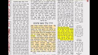 סוטה לא דף יומי מסכת סוטה דף לא Daf yomi Sotah daf 31 שמואל נבון