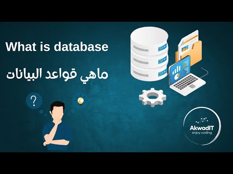 كل ما تحتاج معرفته عن قواعد البيانات للمطوين شرح شامل وسريع